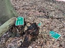 Foto: defekte Hinweisschilder 